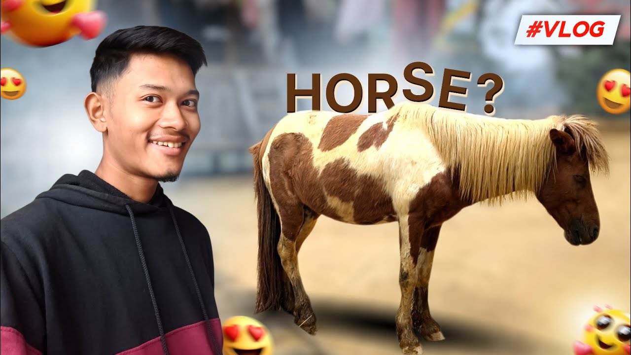 Horse in our Village? Korai chini kami o 🐎😍