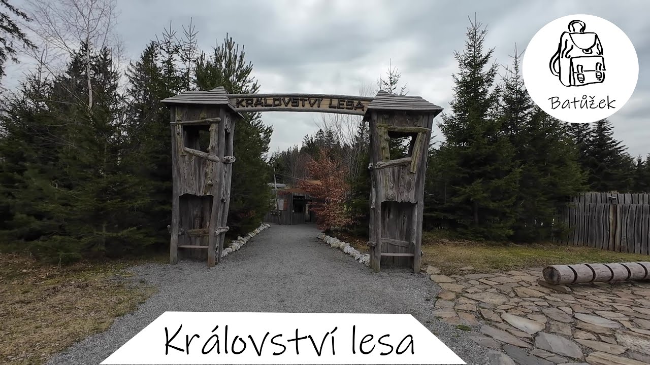 Království lesa