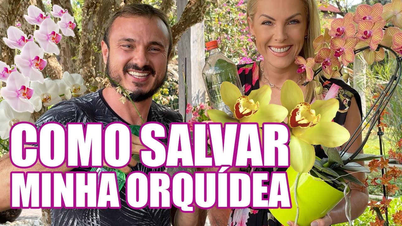 COMO CUIDAR DAS SUAS ORQUÍDEAS | ANA HICKMANN