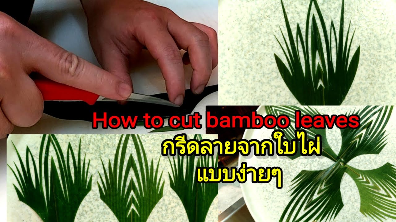 กรีดลายด้วยใบไผ่แบบง่ายๆ สำหรับตกแต่งจาน How to cut bamboo leaves for decoration.