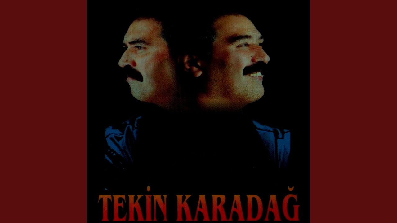 Gönüller Yapmaya Geldim