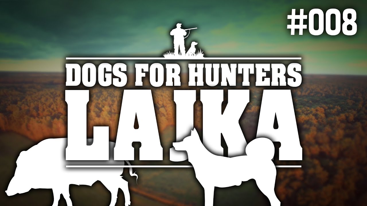 Dogs for Hunters - Lajka & Karelian Bear Dog - Euro Hunters #8