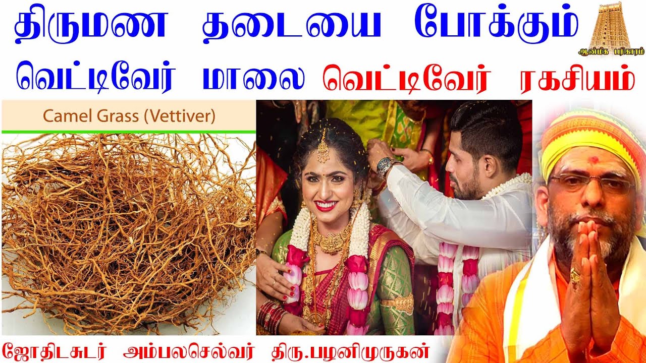 திருமண தடை நீங்க வெட்டிவேர் மாலை பரிகாரம் |வெட்டிவேர் ரகசியம்  | Marriage ban What do you worship