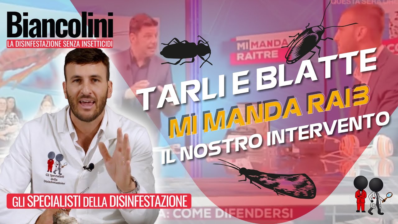 💥Tarli e blatte: il nostro intervento a Mi Manda Rai 3💥
