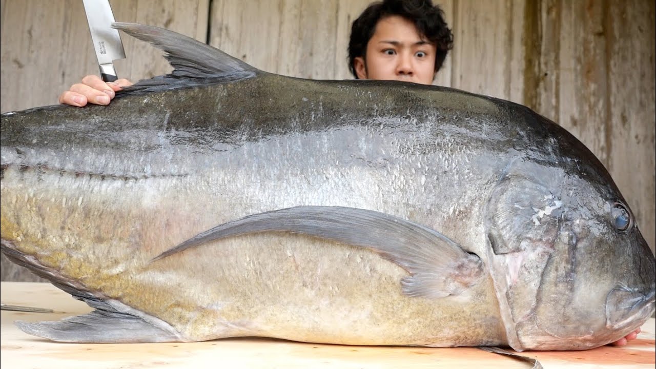 鳥すら丸飲みするバケモノの魚を捌いてみた