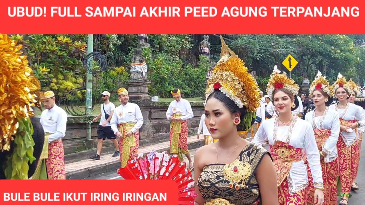 UBUD! bule ikut Peed Agung Nyenuk Cantik iring iringan menuju Puri Peliatan. full sampai akhir