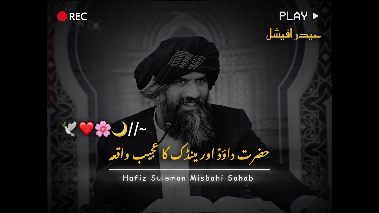 Hazrat Dawood (A.S) Aur Maindak Ka Ajeeb Waqia 🐸 | Dr. Suleman Misbahi | مینڈک کی تسبیح