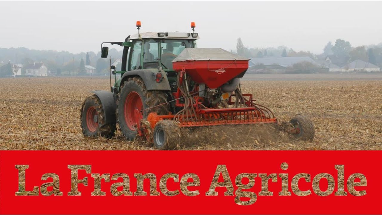 Reportage  : 