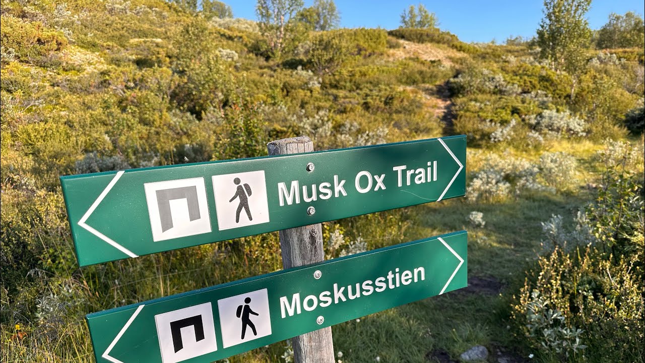 Dovrefjell og Moskusstien