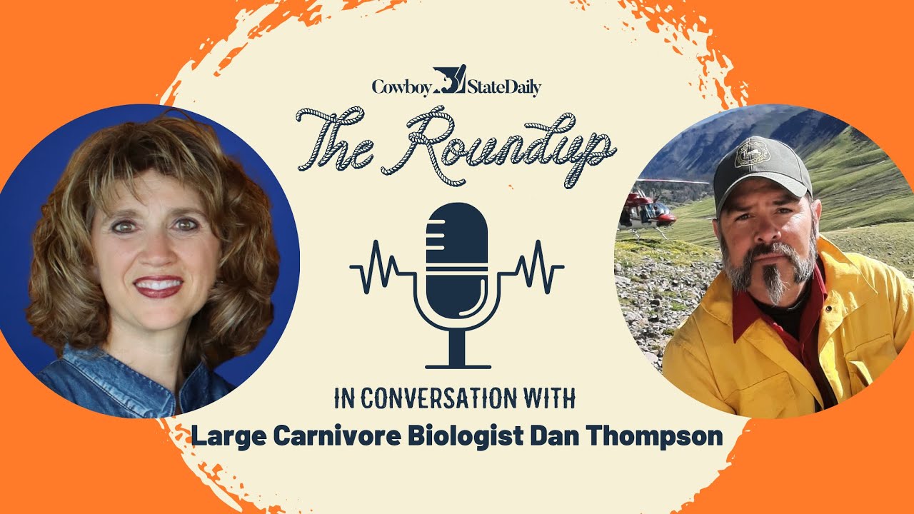 The Roundup: A Conversation with Dan Thompson, Large Carnivore Biologist