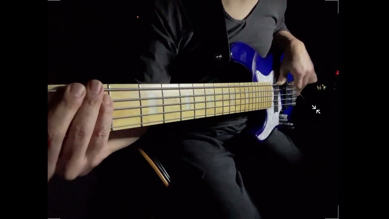 Shake Me/Vinny Valentino, Baron Browne, Joel Rosenblatt, Chrissi Poland & Tom Coster/Bass Cover