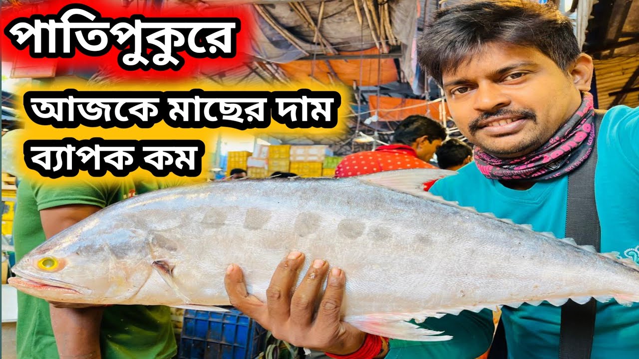 পাতিপুকুর মাছের পাইকারি বাজারে আজকে তো মাছের দাম খুবই সস্তা || pati pukur wholesale fish market  