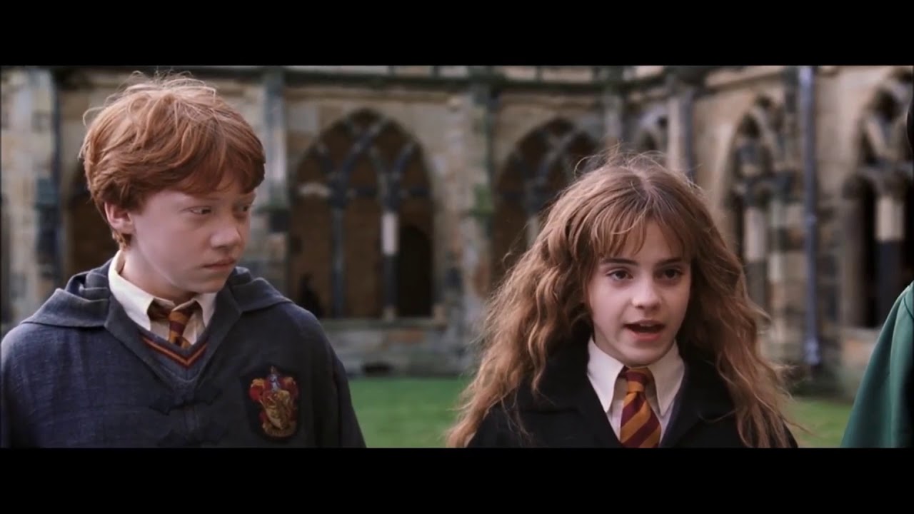 Ron + Hermione (I've Had The Time Of My Life)