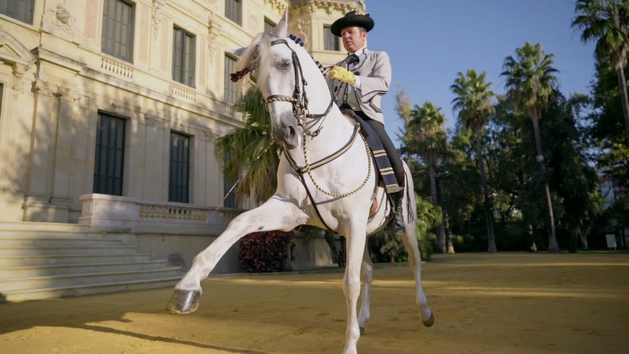 Andalucía deja huella 👣 | Fundación Real Escuela Andaluza de Arte Ecuestre