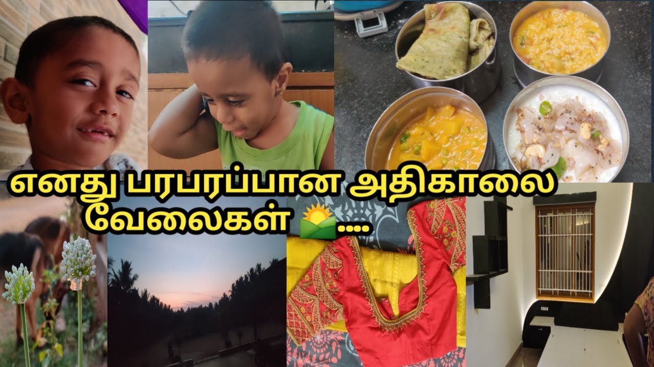 What I Packed for My Husband Lunch Box || My sister New Saree collection with designer blouse ||