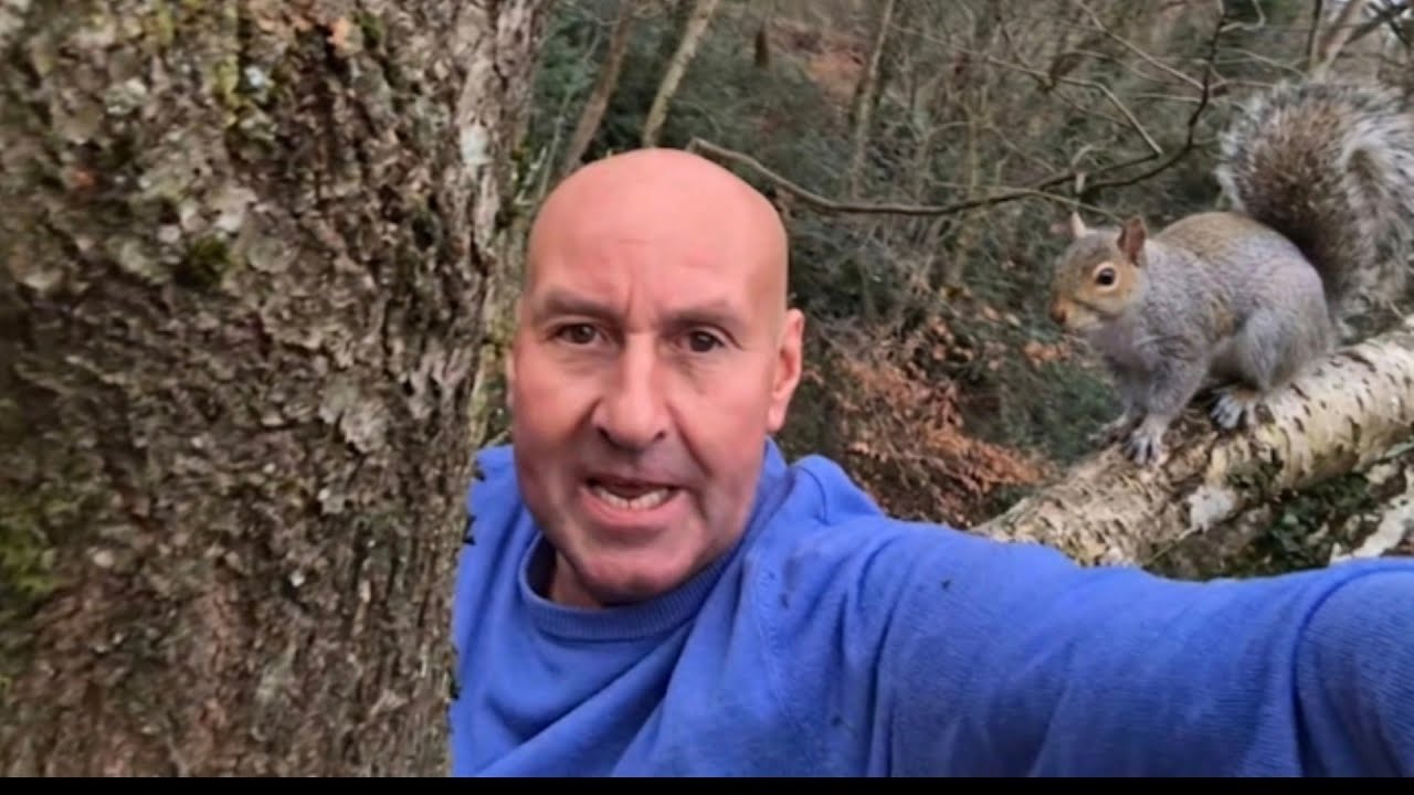 WHY HAVE I BEEN FORCED INTO CLIMBING UP THIS TREE ?