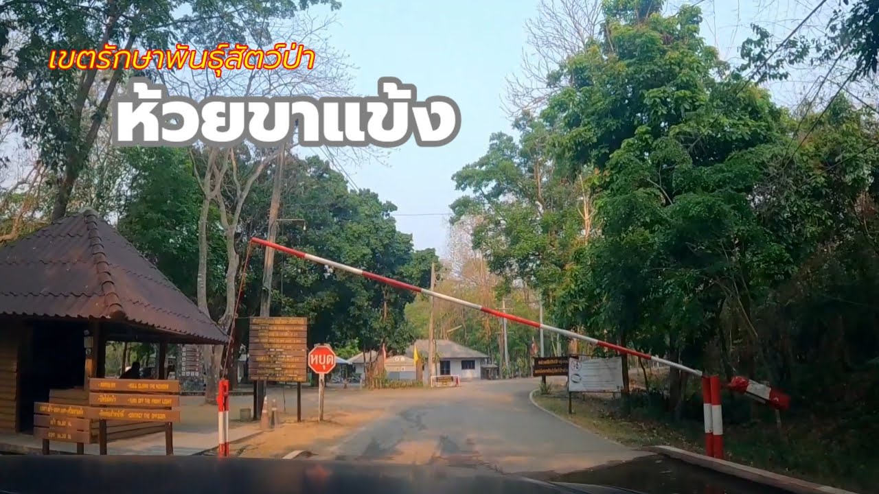 เขตรักษาพันธุ์สัตว์ป่า ห้วยขาแข้ง
