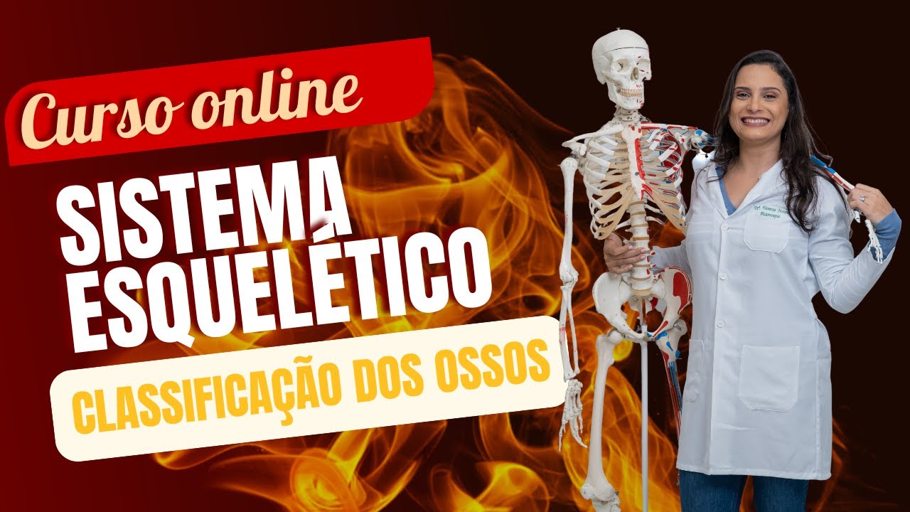 Curso Online de Sistema esquelético (Aula 2/5) - Classificação dos ossos