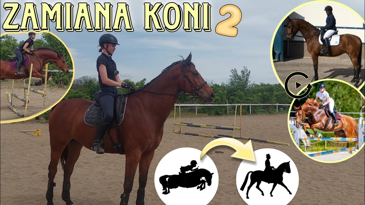 ZAMIANA KONI! - skoczek vs koń ujeżdżeniowy [#2]