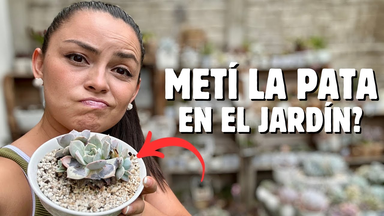 😰No pensé encontrar así el JARDÍN después de 10 días, plantas ESTIRADAS, con HONGO y ahora QUEMADAS