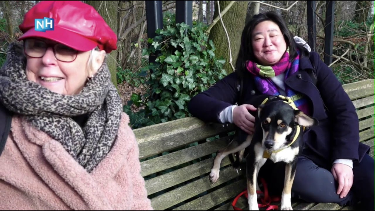 NH nieuws | Stichting OOPOEH zoekt baasjes van lieve honden in Amsterdam
