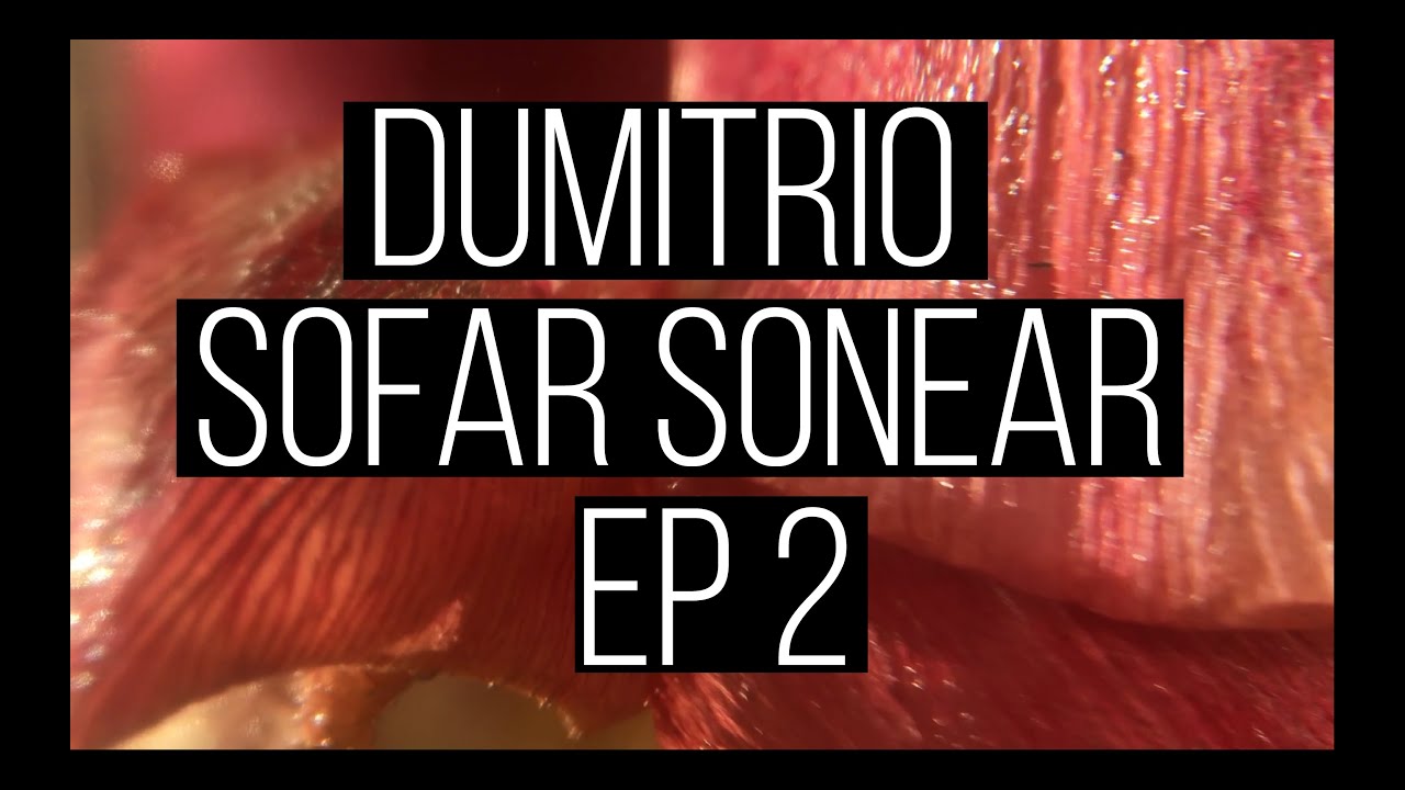 DUMItRIO soFar soNear ep.2