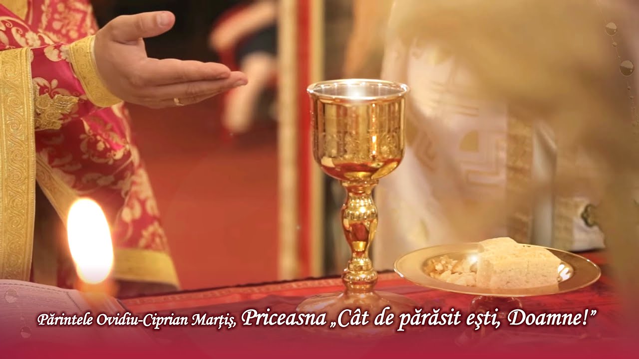 Părintele Ovidiu-Ciprian Martiș, Priceasna „Cât de părăsit ești, Doamne!”