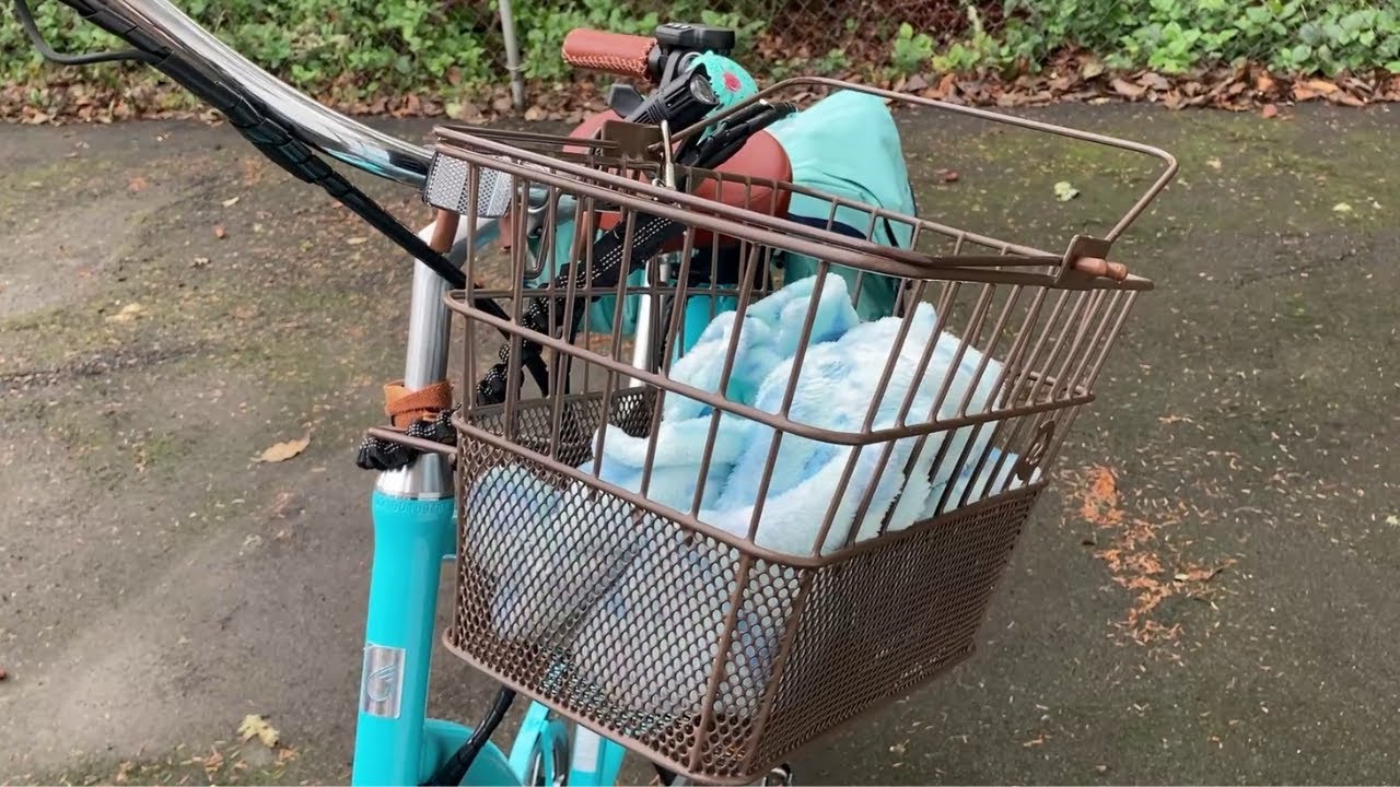 Retrospec Apollo Bike Basket