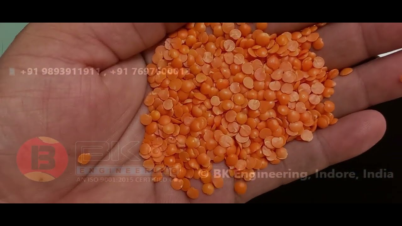 Masoor Dal / Red Lentil Processing Plant Video 3