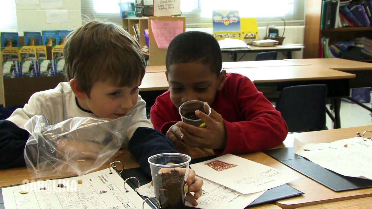 First Grade Science: STC&trade; - Planting Our Seeds