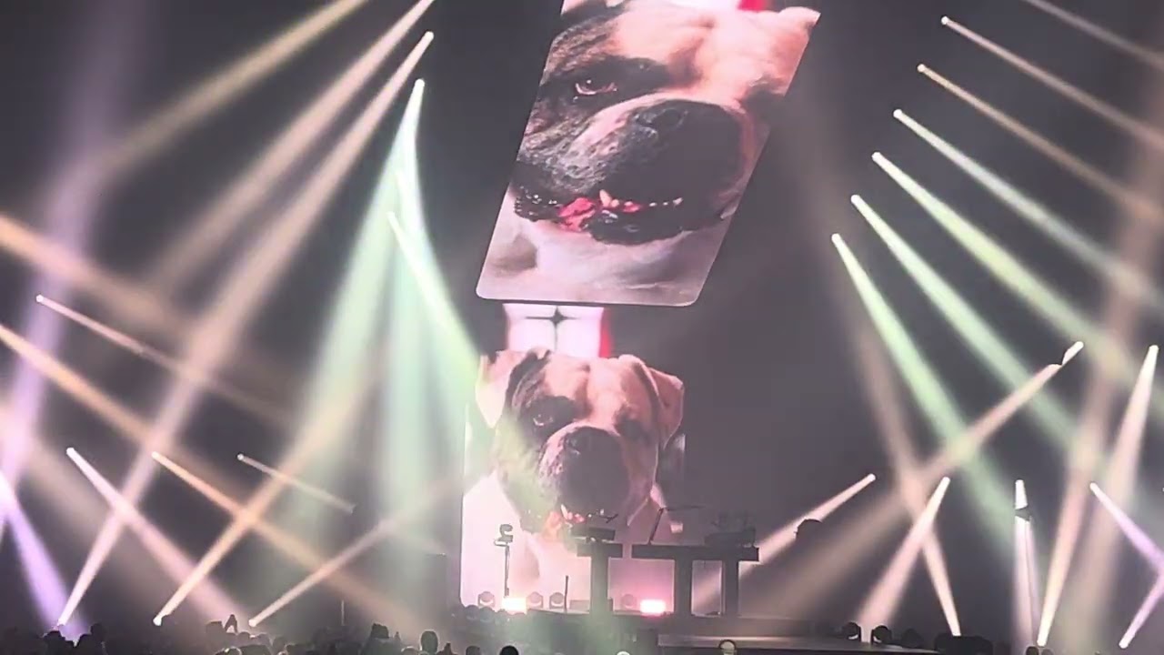 LOUANE - CHIENS (Angoulême 24.01.2026)