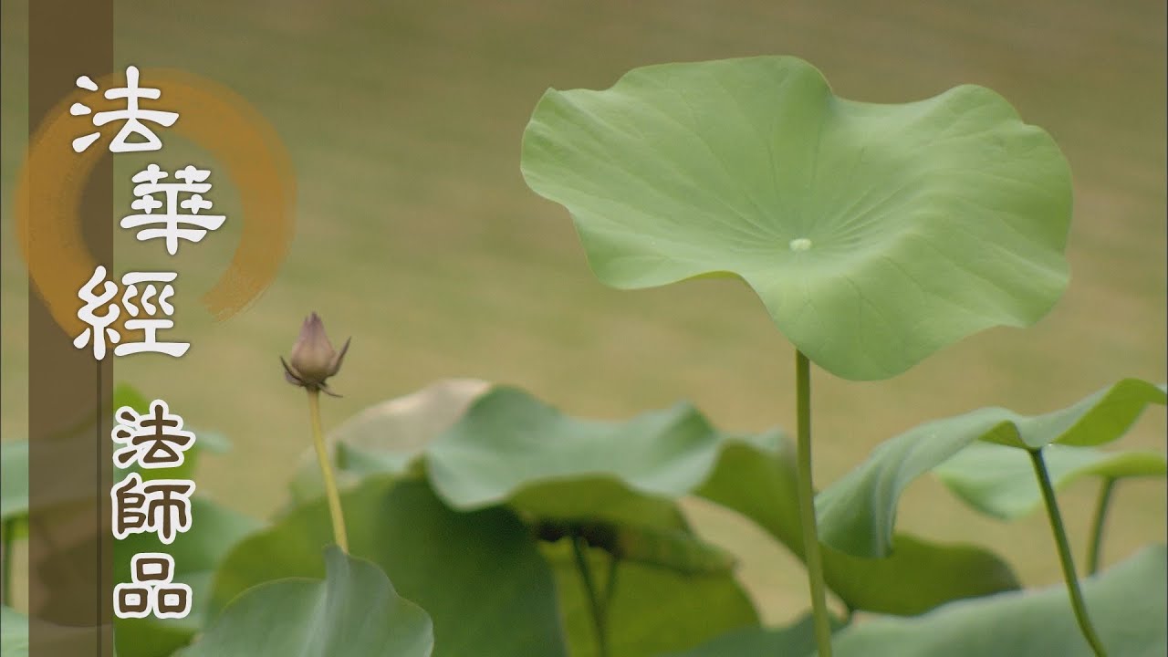 【靜思妙蓮華】法華經法師品 - 滅盡五蘊 法空度生 - 20220926 第1249集