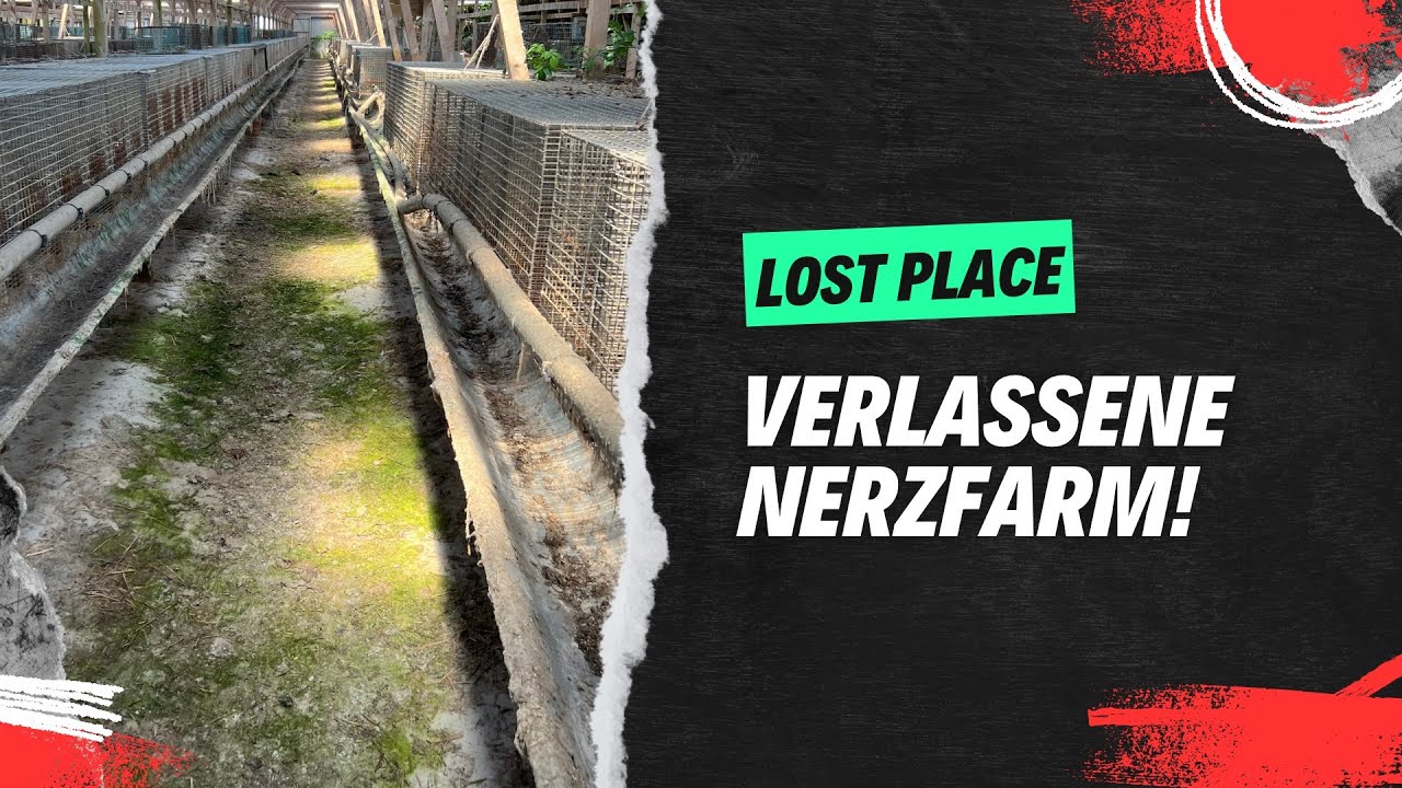 Verlassene Nerzfarm in Dänemark - LOST PLACE (4K)