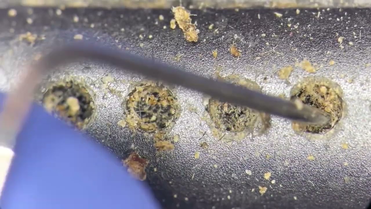 Satisfying iPhone 8 Plus cleaning under the microscope at Phone Fix Craft