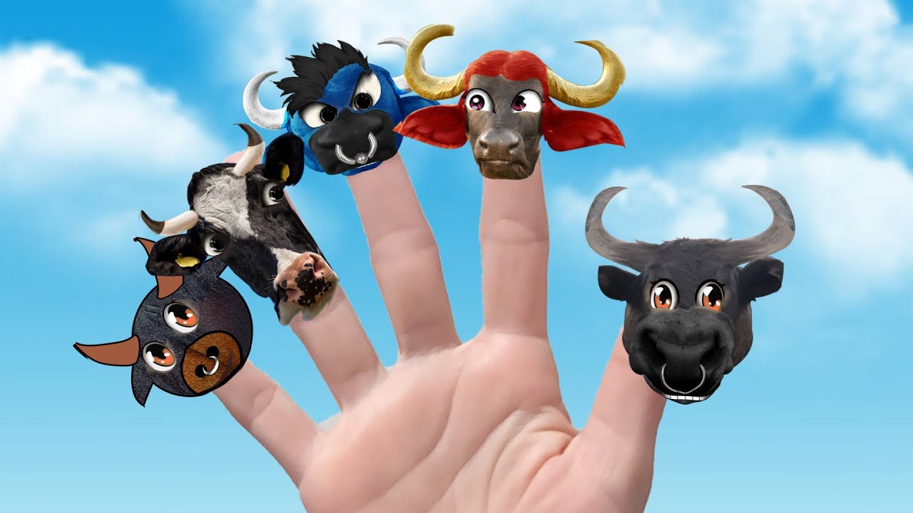 Finger Family 🖐| Família dos dedos com Boi da cara preta ✌🐂| Nursery Rhymes & Kids Song 🎵🎵🎵