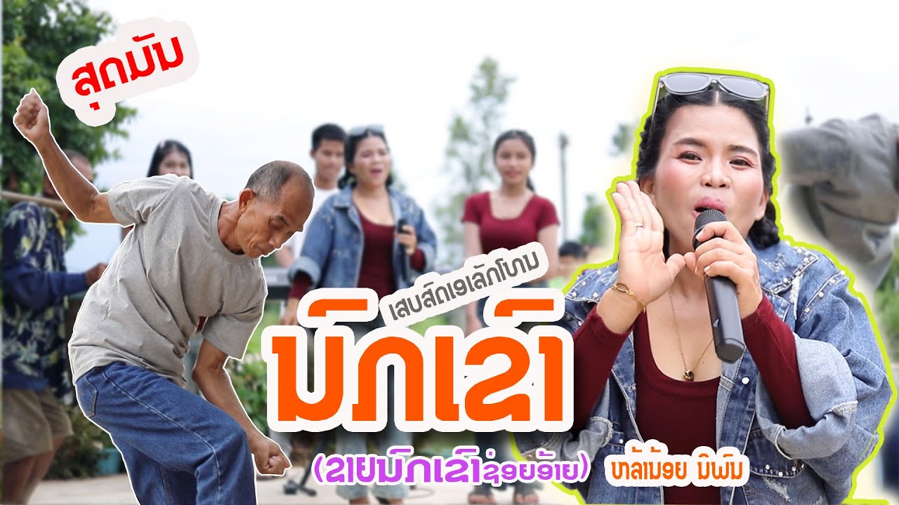 ນົກເຂົາ(ຂາຍນົກເຂົາຊ່ອຍອ້າຍ) ຫລ້ານ້ອຍ ນິພົນ/นกเขา(ขายนกเขาซ่อยอ้าย) หล้าน้อย นิพน cover