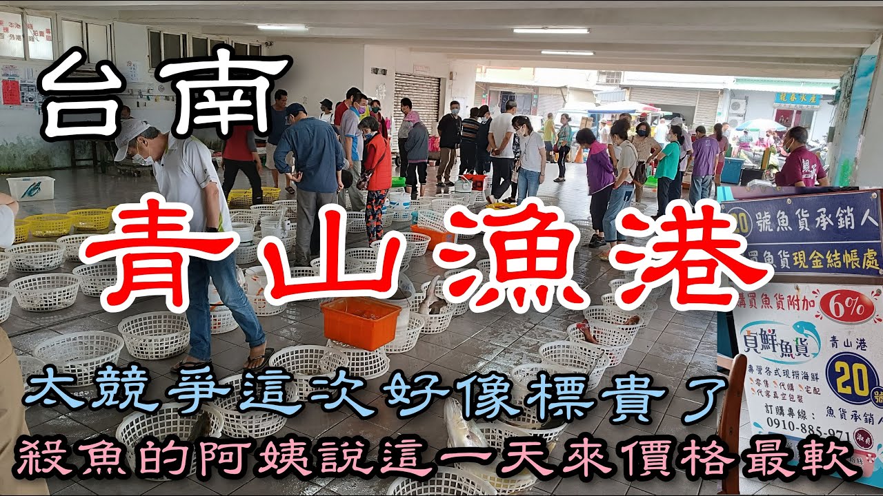 拍賣太貴了?殺魚阿姨聽到價格也驚訝她透漏這天來價格最軟丨刺激的魚貨拍賣丨在地美食秀里蚵嗲丨台南青鯤鯓青山漁港丨 Fish Auction of Tainan Qingshan Fishing Port