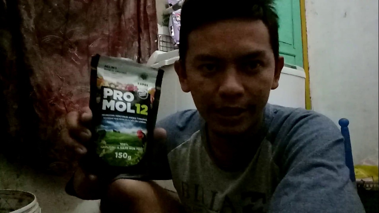 cara membuat probos dari promol12