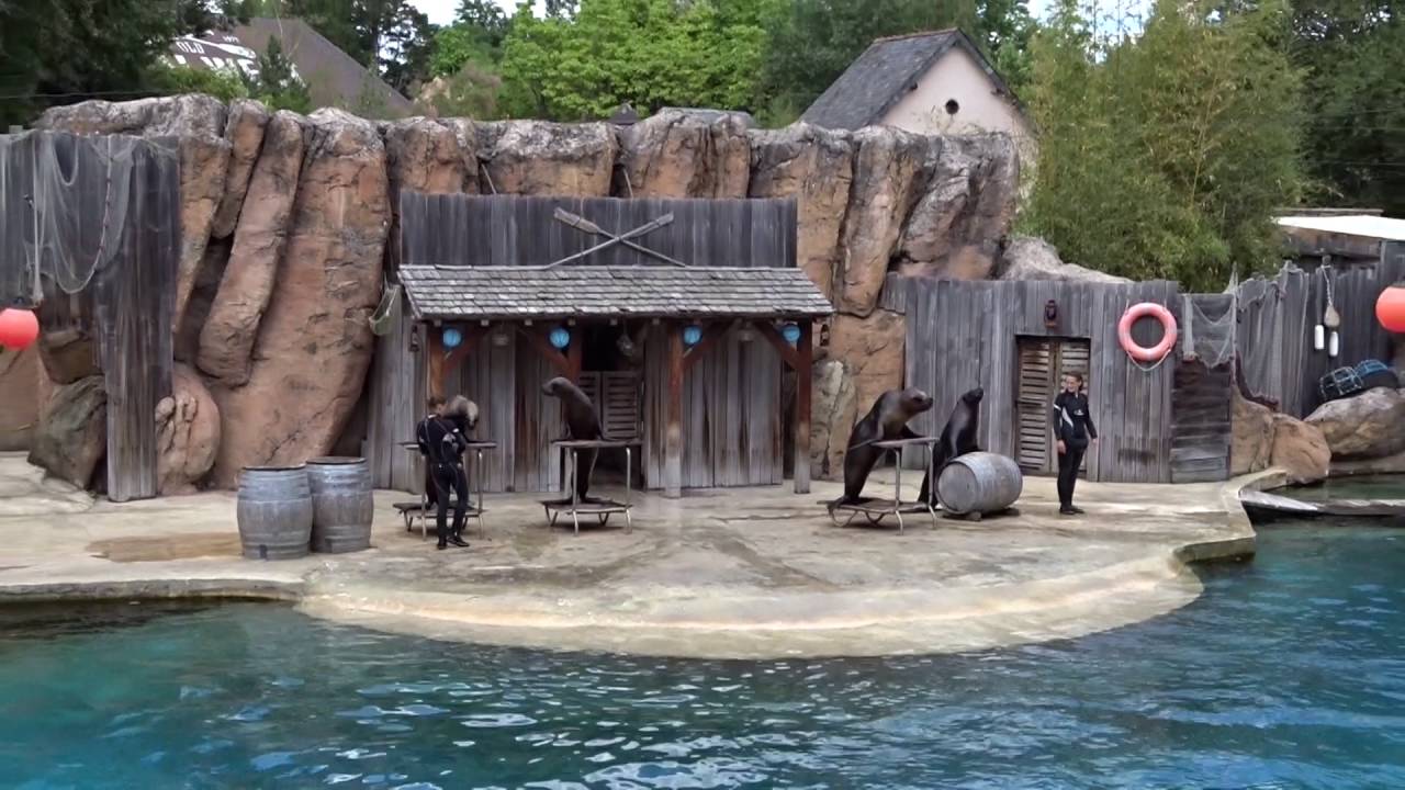Le pal spectacle d'otaries 2016 avec Marie d'une saison au zoo