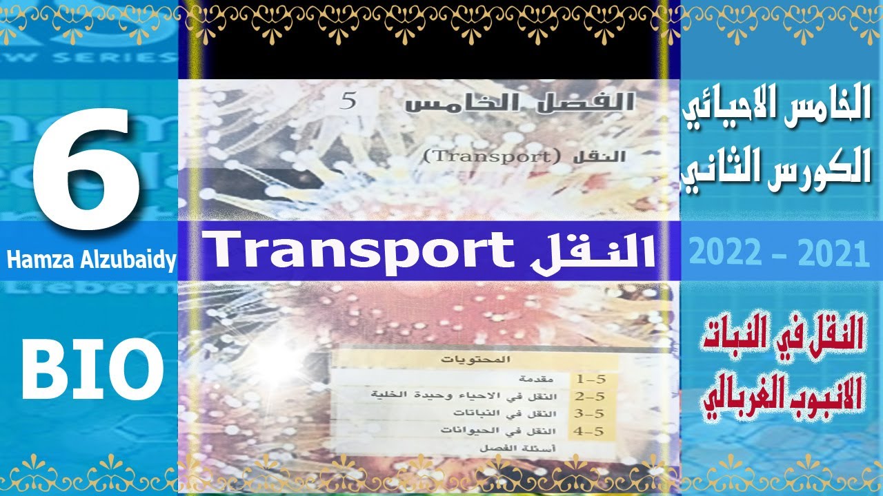 فصل النقل: ٦- تعريف الأنبوب الغربالي