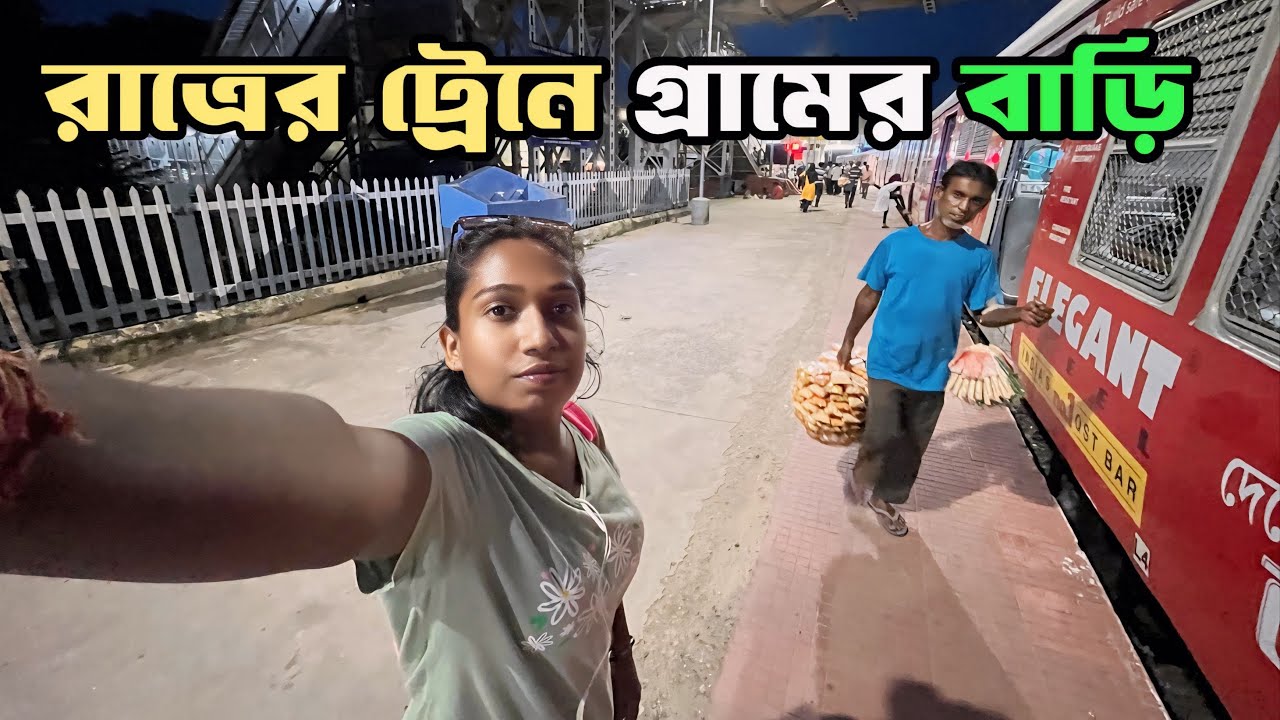রাত্রের ট্রেনে করে আমি আমার গ্রামের বাড়ি গেলাম | West Bengal Local Train Journey Video |