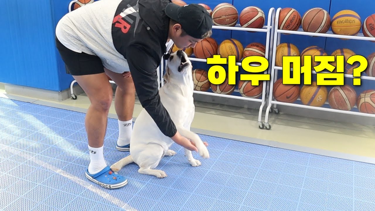 실내농구장 창업비용 / 50%공개