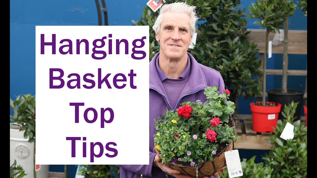 Top Tips for stunning hanging baskets