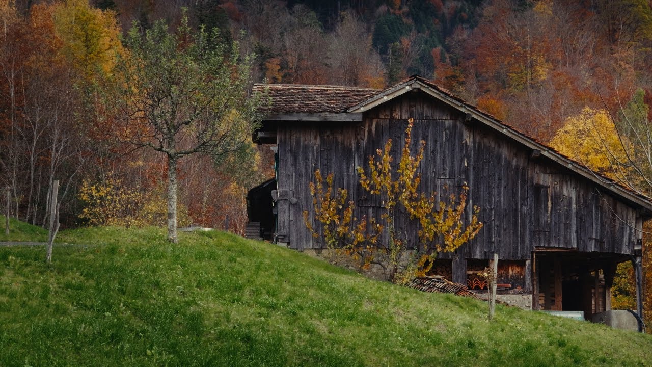 DORMANT: An Autumn Walk in Switzerland (4K)