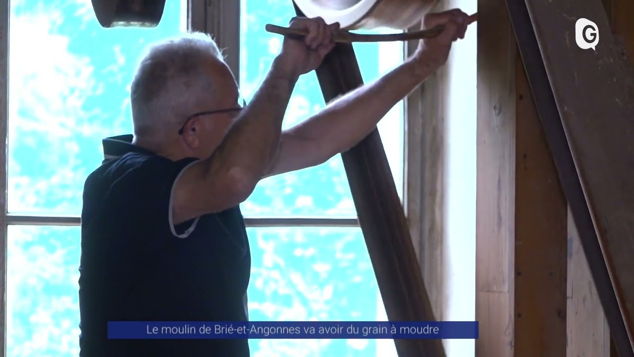Reportage - Le moulin de Brié-et-Angonnes va avoir du grain à moudre