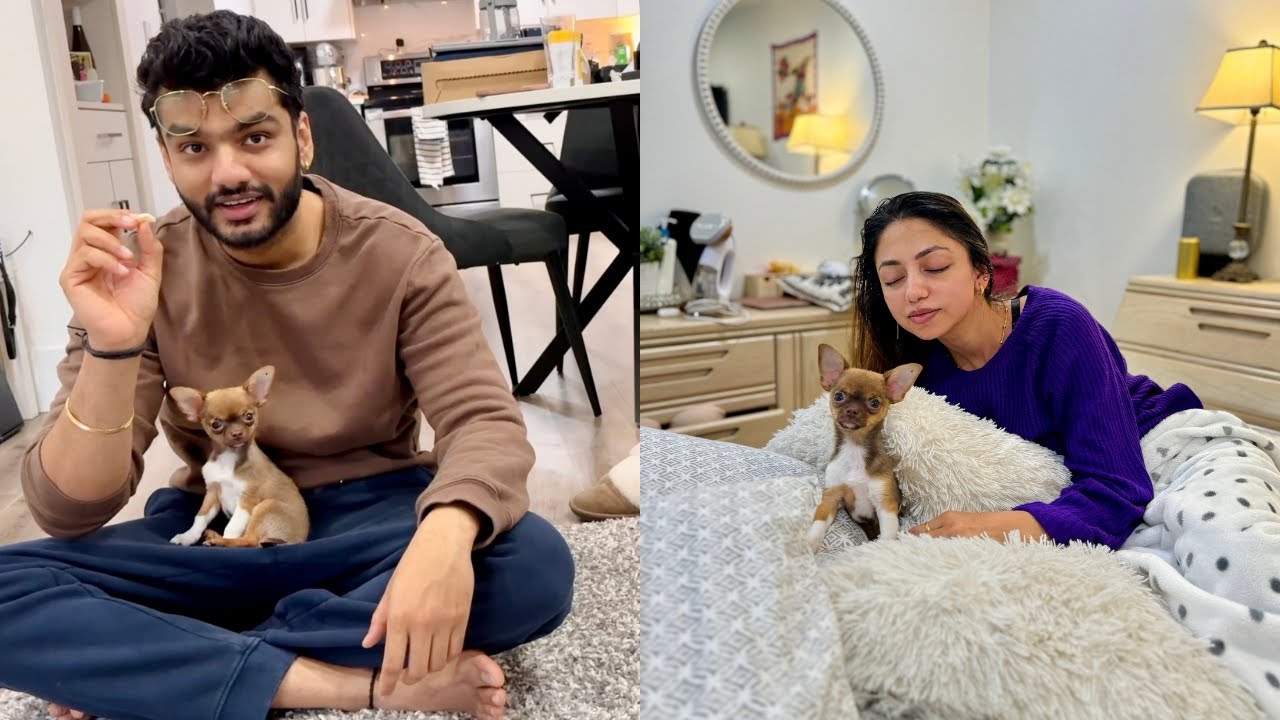 Cheekuu Ki Pehli Subah || First Day of Our Chihuahua