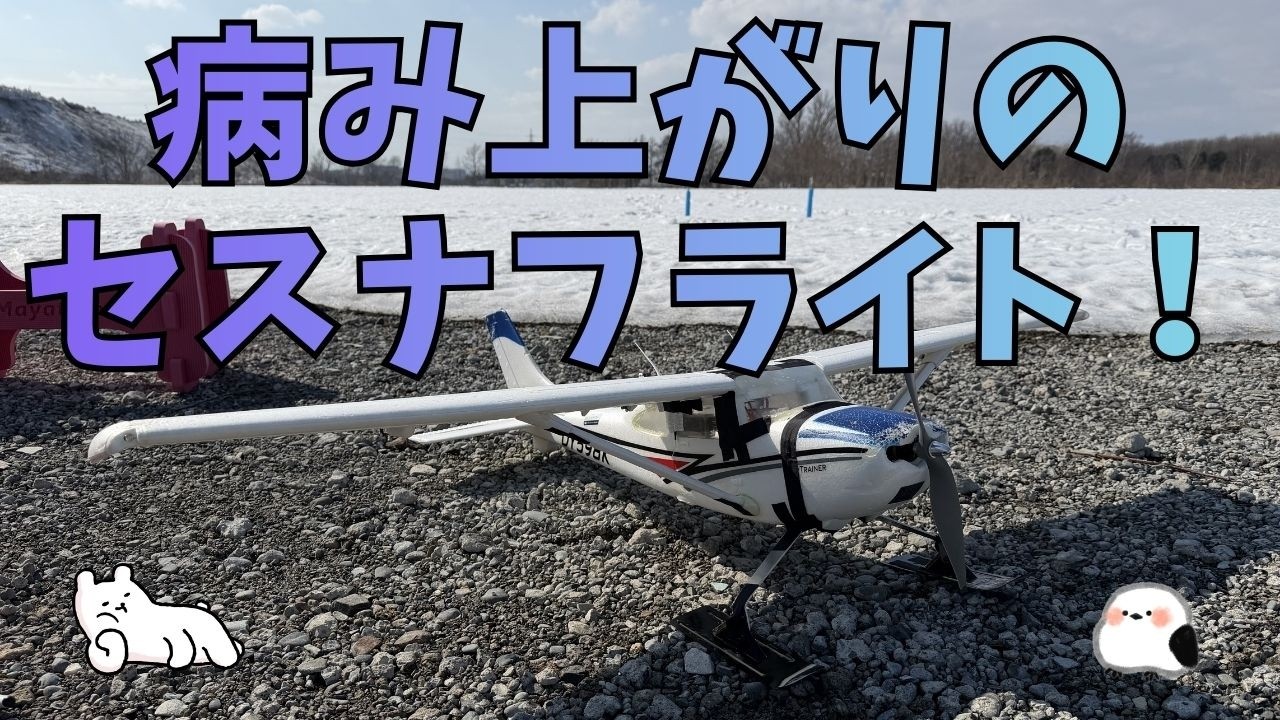【ラジコン飛行機】病み上がりフライトは果たして無事なのか？