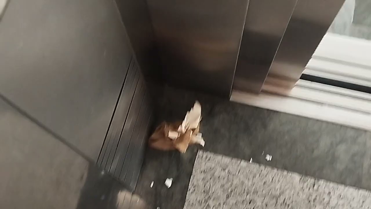 Ascensor antiguo de Schindler con voz en el Corte Inglés de al lado de Aqua (Valencia)