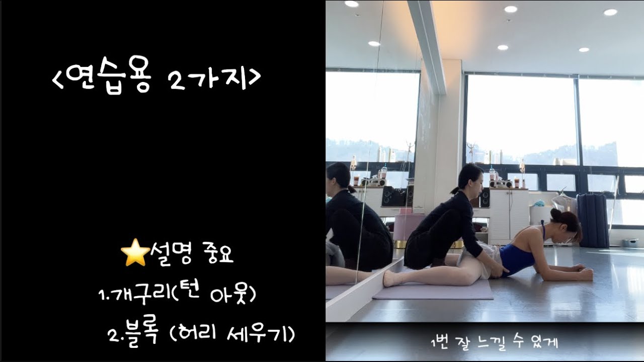 [🩰24년 취미 발레: 레슨 일지]❤️ 안 빠지고 하는 연습 2가지/개구리,블록 (⭐️설명 매우 중요)