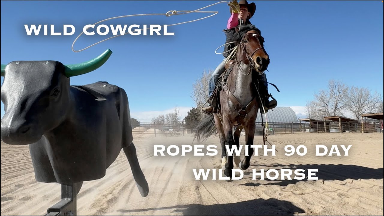 Wild Horses Wild Cowgirl Episode 5 #wildhorse #rodeo #roping